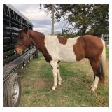 Ransom Hip# 40 pic 1