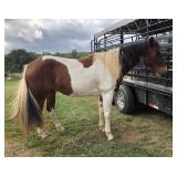 Ransom Hip# 40 pic 2