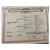 Hip # 51 - IMA GIGGLINVALENTINE papers