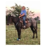 Hip # 51 - IMA GIGGLINVALENTINE pic 1