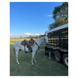 Hip# 52 - LEO PLAYGUN pic