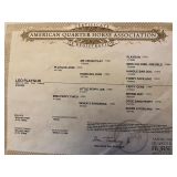 Hip# 52 - LEO PLAYGUN papers