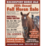 28th Annual Fall  Used Tack, Saddles &  Horse Sale