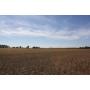 Aird Estate Land Auction