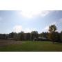 Sheets Estate Auction