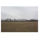Land Auction