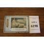 Online Auction