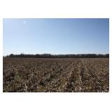 Ward Real Estate Auction