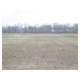Land Auction
