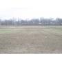 Land Auction