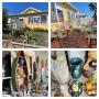 Eclectic Estate Sale on South Fletcher-Fernandina Beach
