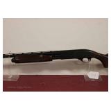 12g No Shipping, Pick Up Only, Paperwork Required 12g No Shipping, Pick Up Only, Paperwork Required