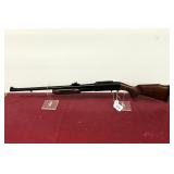 31g No Shipping, Pick Up Only, Paperwork Required 31g No Shipping, Pick Up Only, Paperwork Required