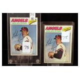 Lot 75