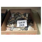 Lot 243