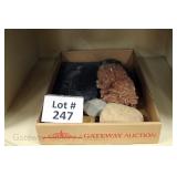 Lot 247
