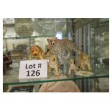 Lot 126