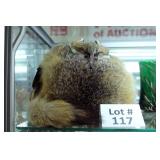 Lot 117 Lot 117