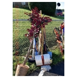 Outside - Starts at 10 am