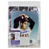 Lot 207