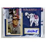Lot 208