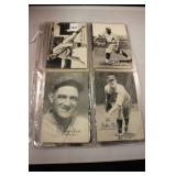Lot 262