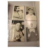 Lot 262