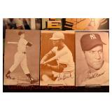 Lot 301