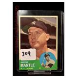 Lot 309