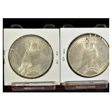 Lot #117