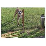 Outside Items - Sold starting at 10AM