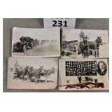 231