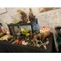 Admission Free Estate Sale