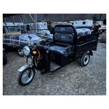 High-End Electric Tricycle IRETI3