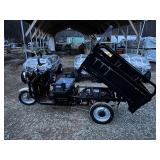 High-End Electric Tricycle IRETI3