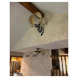 retired Harlequin moose head