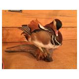 Mounted Fowl