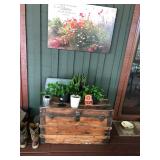 Antique Trunk