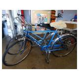 Furniture, collectibles, decor 