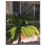 Estate of Affairs Tracy, CA January 12, 2019 9 a.m. to 3 p.m. Estate of Affairs Tracy, CA January 12, 2019 9 a.m. to 3 p.m.