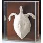 Modern & Contemporary Art Auction