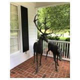 Compare the antlers to the window to see the height