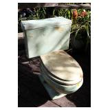 Vintage green toilet