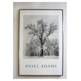 Ansel Adams framed poster