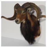 Antique Auction-75 Quilts-Furniture-Primitives-Antiques & MORE 