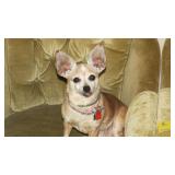 MAN Cave Auction-Tools-Nascar-Star Trek-Coins-Airsoft-MIlitary-Gaming & MORE