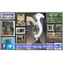 Carson Art Gallery Retirement Online Auction!