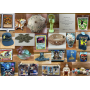 Grimes Finds Unpaid, Forfeited, No Bid Lot Clear Out!
