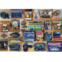 Grimes Finds Estate Sale Liquidation Sale!