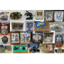 Greenville Autographs, Cards, Vintage Collectibles and More!